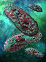 parasites