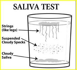 Candida test